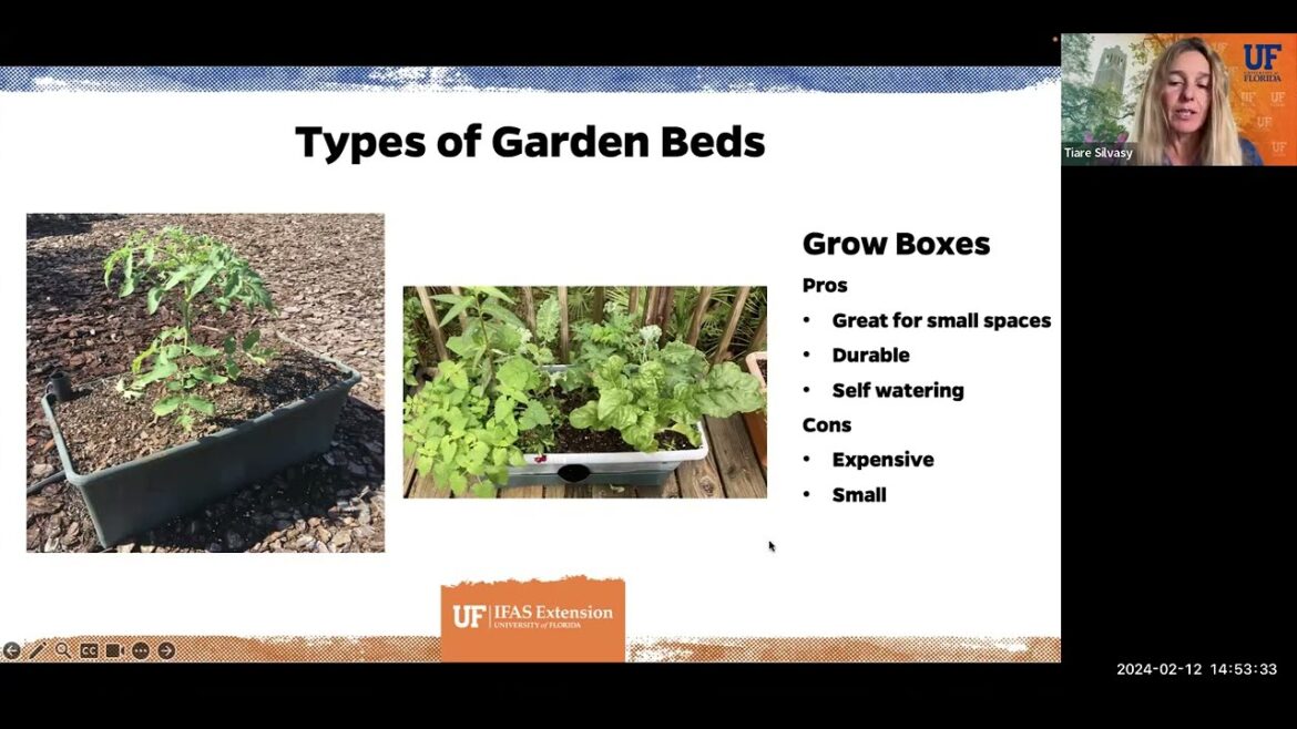 Vegetable Gardening for Central Florida Vegetable Gardening for Central Florida