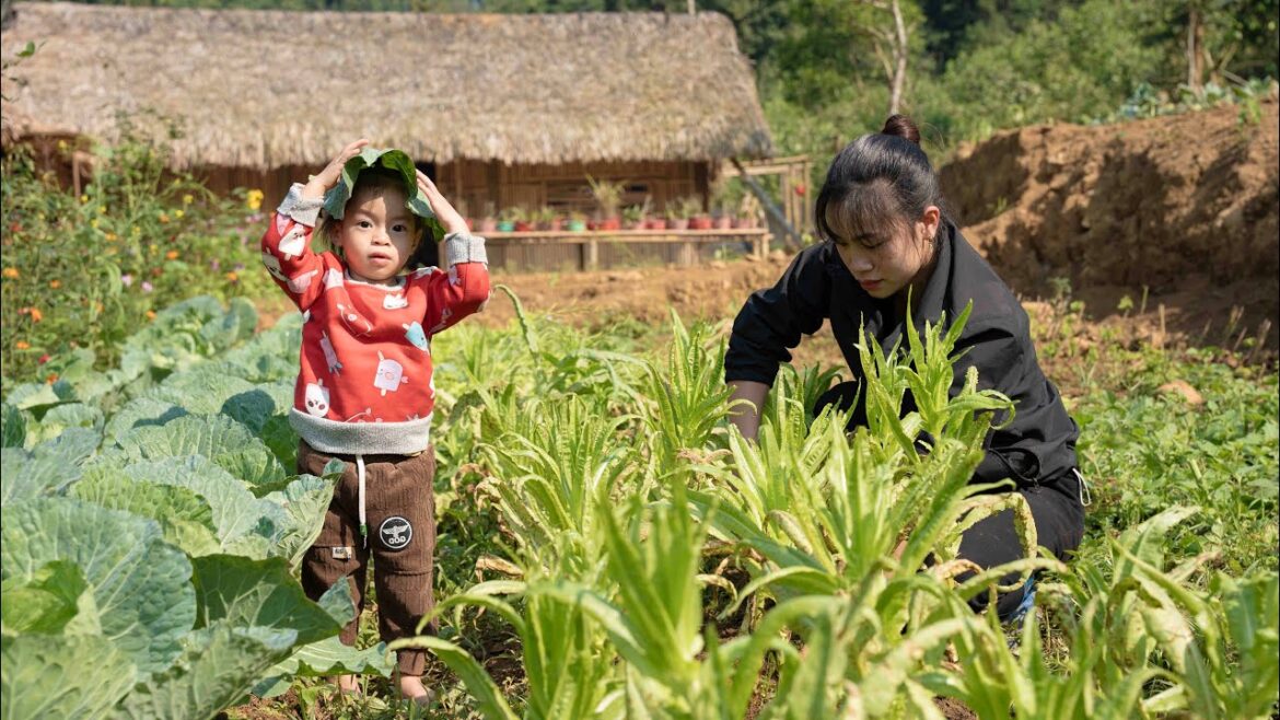 Garden Care, Vegetable Harvesting, Cooking, Mountain Life | EP. 32