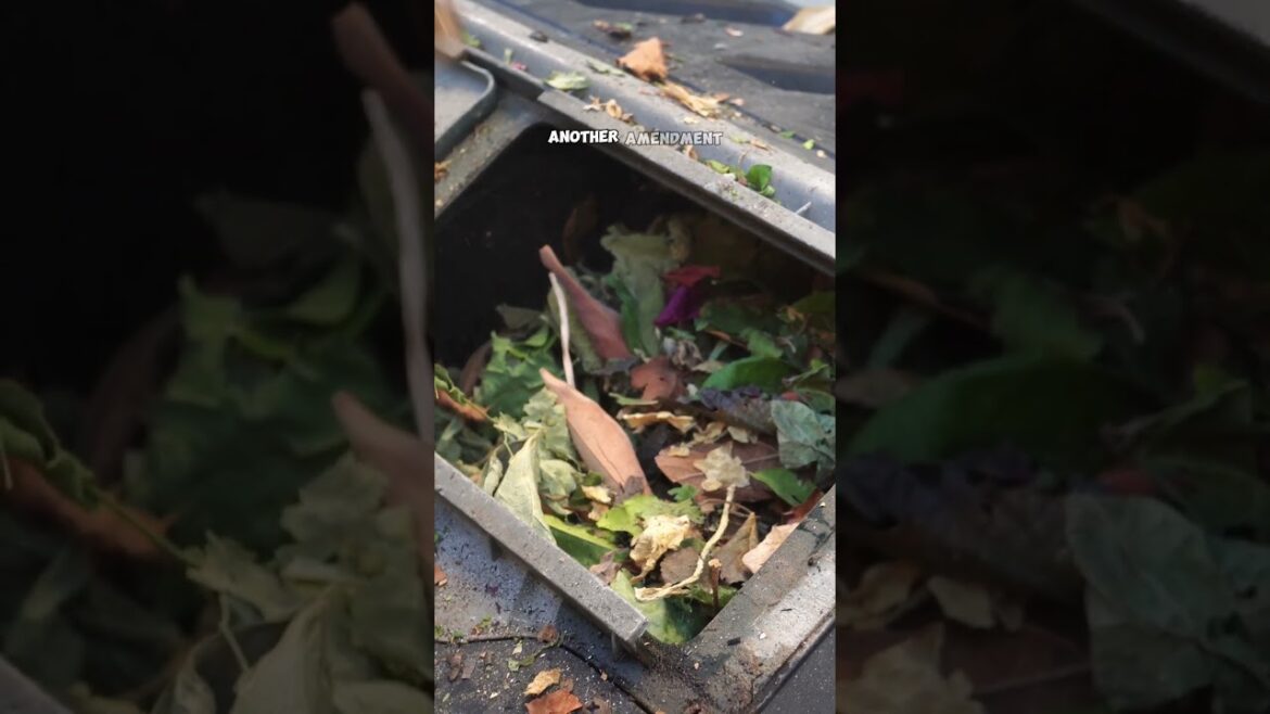 California Gardening: Maximize Your Raised Bed Garden: Top Tips & Hacks! 🌱🛠️ #Shorts Maximize Your Raised Bed Garden: Top Tips & Hacks! 🌱🛠️ #Shorts