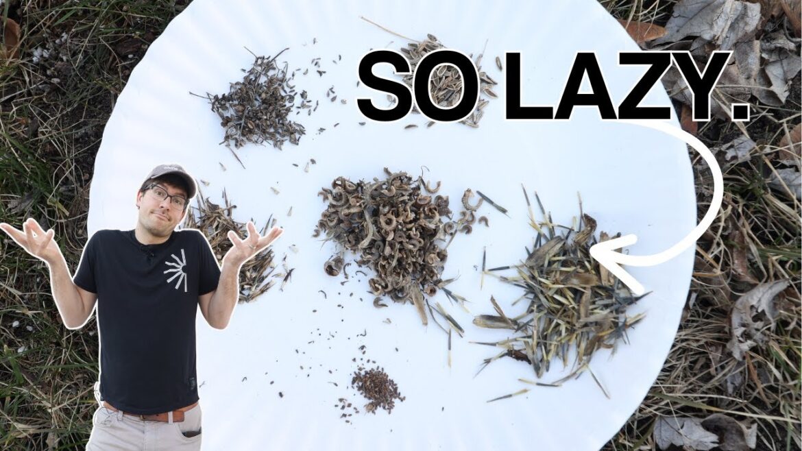 MIgardener: I Got SCHOOLED By My 70 Year Old Grandma on LAZIEST Way To Save Seeds I Got SCHOOLED By My 70 Year Old Grandma on LAZIEST Way To Save Seeds