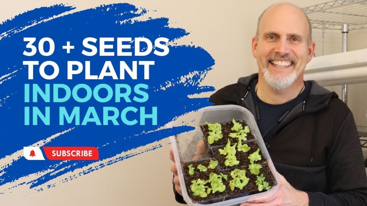 Seeds to Plant Indoors in March Seeds to Plant Indoors in March