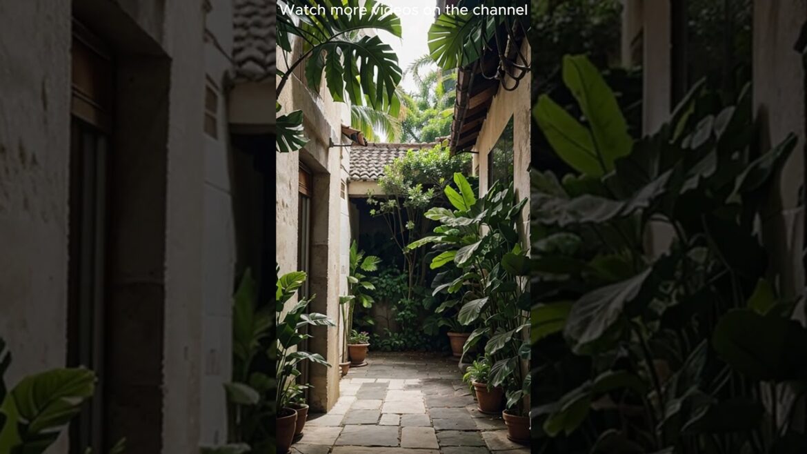 Small Courtyard Garden Ideas  #1  #garden #homedesign #homedecor