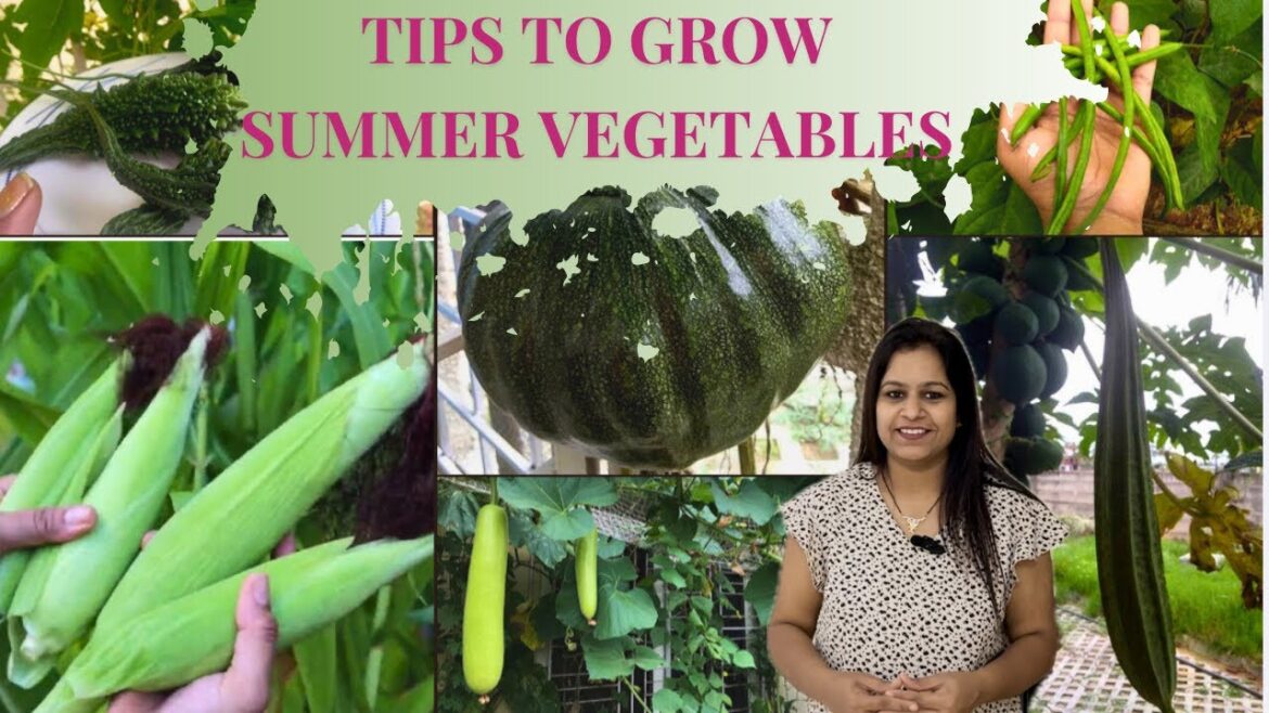 Summer vegetables to grow at home|| What to grow in Feb March|| Vegetables to grow in Summer Summer vegetables to grow at home|| What to grow in Feb March|| Vegetables to grow in Summer
