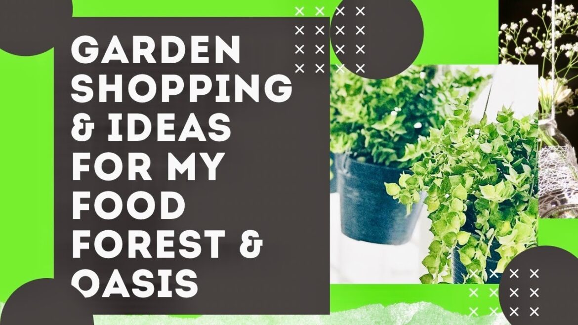 FLORIDA HOMESTEAD & OFF GRID FOOD FOREST PLANS | GARDEN SHOPPING FLORIDA HOMESTEAD & OFF GRID FOOD FOREST PLANS | GARDEN SHOPPING
