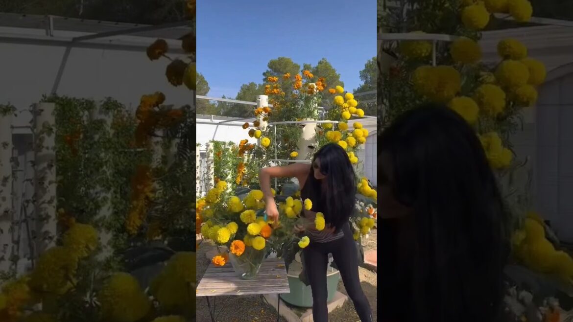 Edible flowers 🌹#shorts #farming #flowers