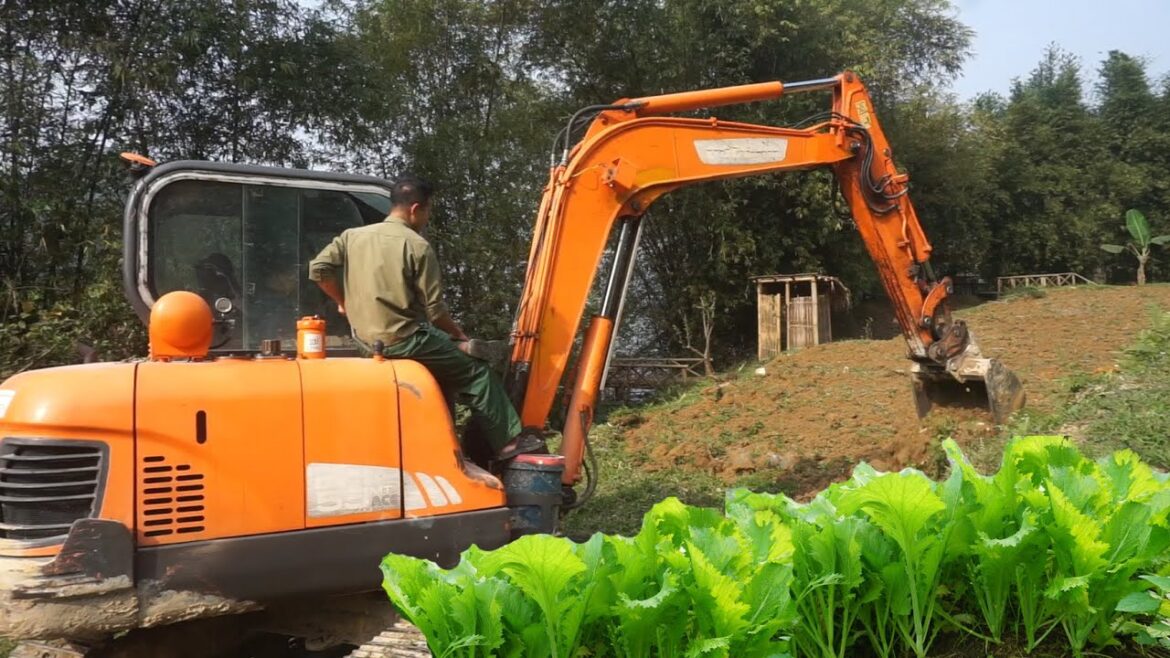 Improving garden land, gardening, picking vegetables to sell at market 154