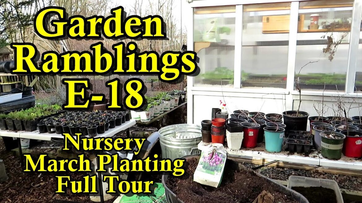 Gary Pilarchik: March Direct Sowing, Nursery & Greenhouse, & Seed Planning 3/8/24: Garden Ramblings Tips & Tour E-18 March Direct Sowing, Nursery & Greenhouse, & Seed Planning 3/8/24: Garden Ramblings Tips & Tour E-18