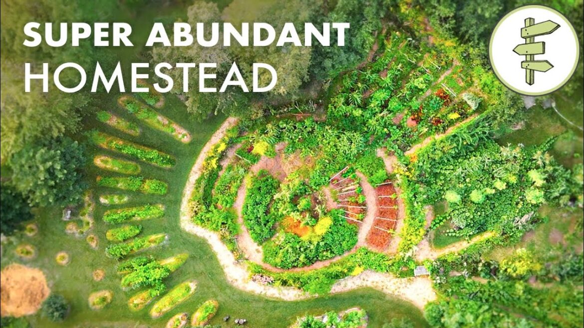 Family Growing 90% of Their Food on an Impressive Permaculture Homestead Family Growing 90% of Their Food on an Impressive Permaculture Homestead