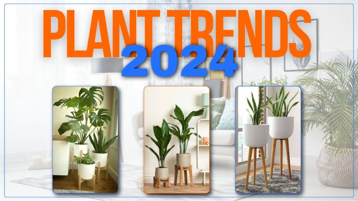Plants Trends In 2024 | The End of Indoor Jungle Vibes Era
