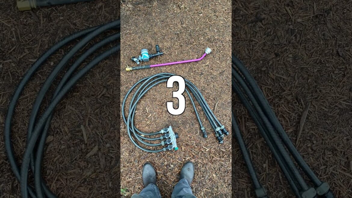 5 Techniques That Extend the Season in My Vegetable Garden