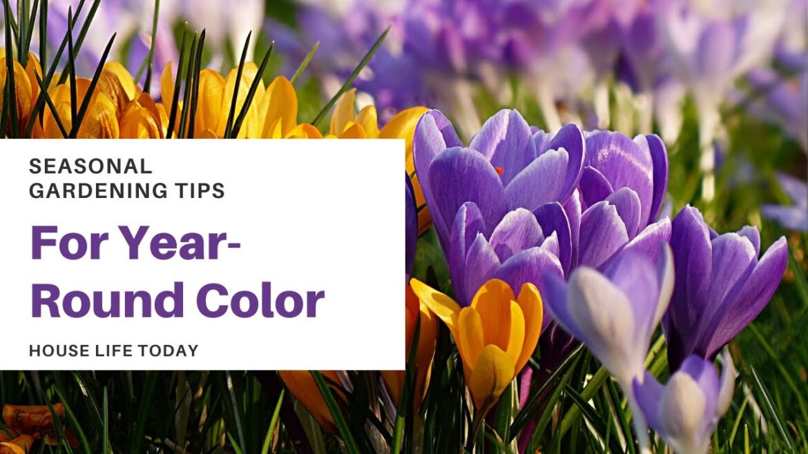 Seasonal Gardening Tips for Year-Round Color Seasonal Gardening Tips for Year-Round Color