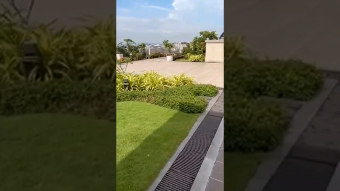 rooftop gardening 😍 #interio #viral @rubelkitchen @leclairdecor rooftop gardening 😍 #interio #viral @rubelkitchen @leclairdecor