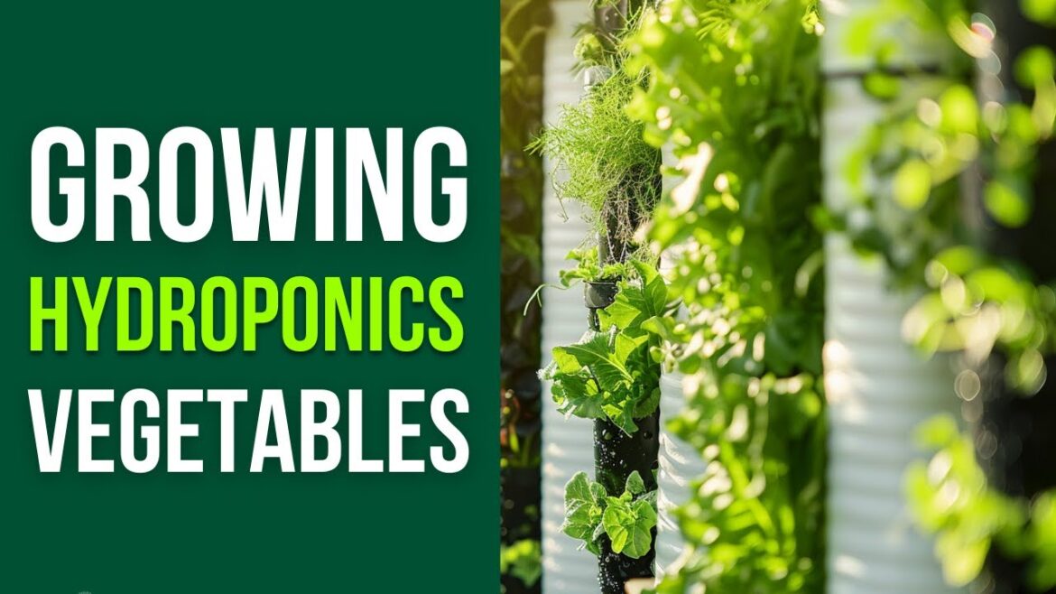 Hydroponic Vegetable Growing for Beginners - Avoid These Mistakes!