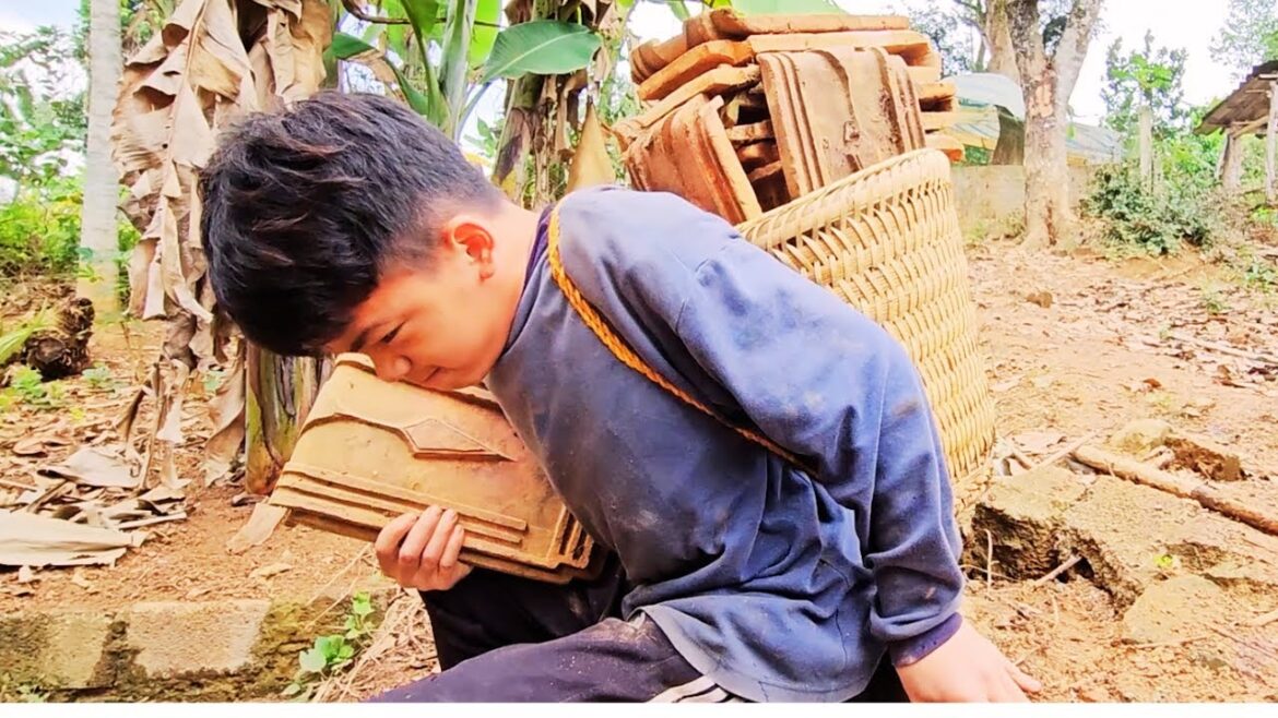 Orphan Boy daily life – Vegetable gardening – Taking care of pets at the farm Orphan Boy daily life - Vegetable gardening - Taking care of pets at the farm