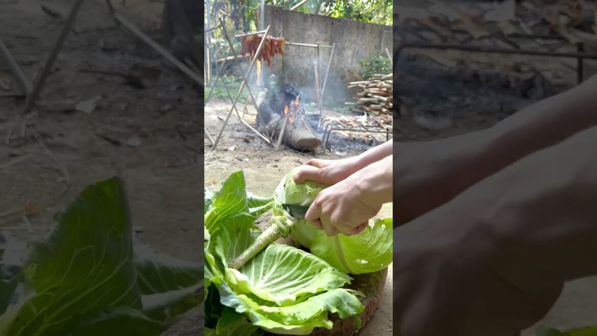 The ultimate guide to mastering the adorable cabbage and mini knife#kisds #fruit #shortvideo ko