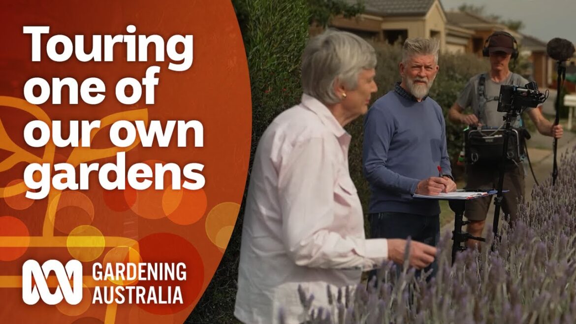 Behind the scenes of a Gardening Australia producer's garden | Garden Design | Gardening Australia