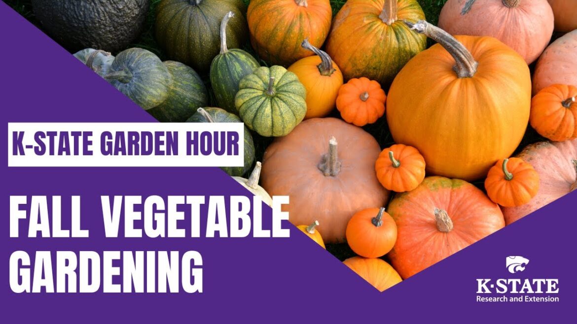 K-State Garden Hour: Fall Vegetable Gardening K-State Garden Hour: Fall Vegetable Gardening