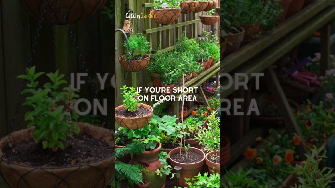 5 Terrace Garden Ideas You Can't Resist Trying! 🌷🏡 // #shorts  #gardening