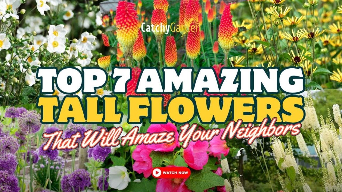 7 Best Tall Flowers That Will Amaze Your Neighbors! 🌻🌹🌷 // Gardening Ideas