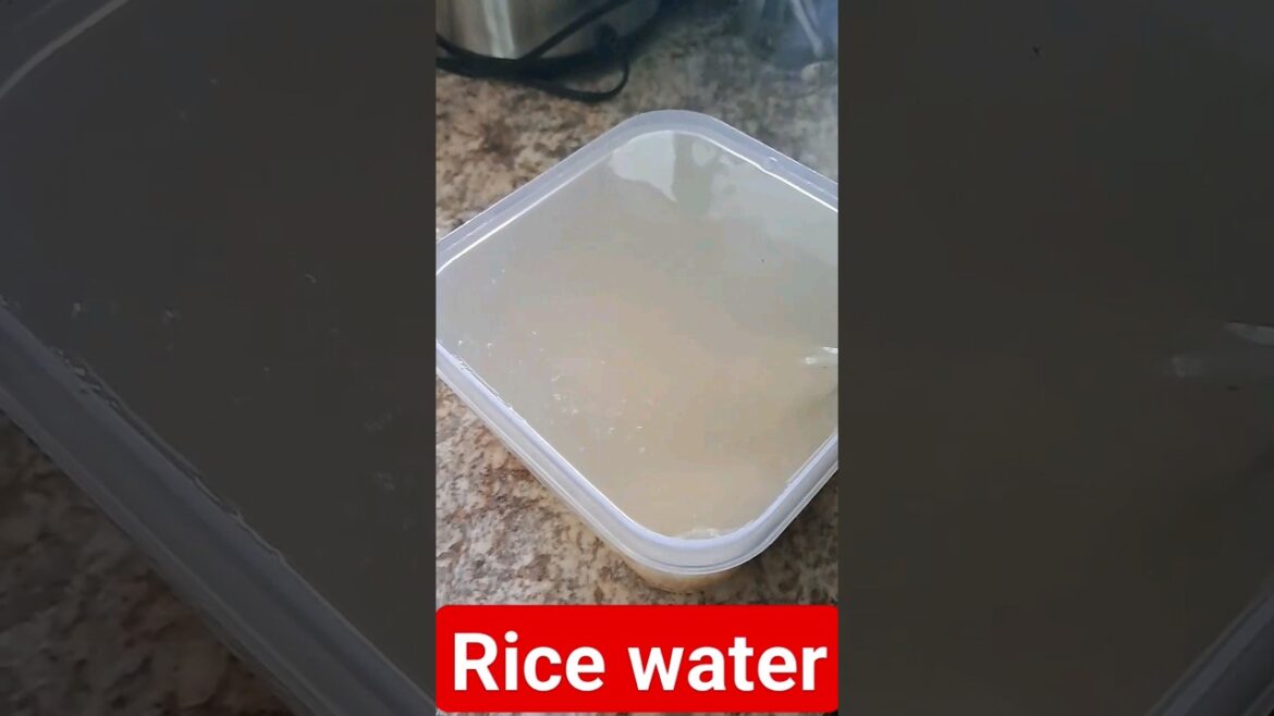 USING RICE WATER IN YOUR VEGETABLE GARDEN!! #ricewater