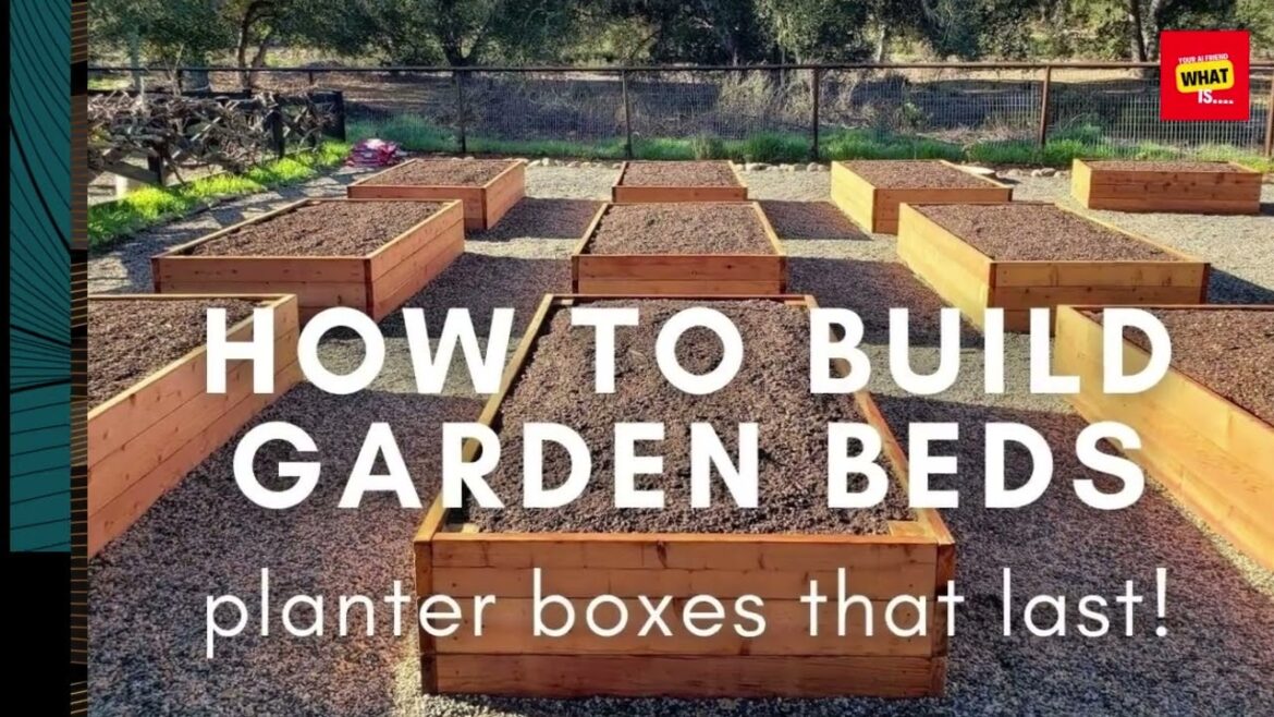 What is Edible Landscaping and How to Grow Fruits, Vegetables, and Herbs in Your Yard?