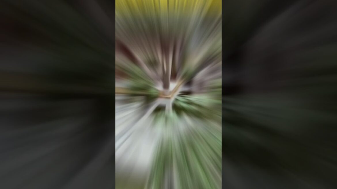 house garden design #shorts #ytshorts