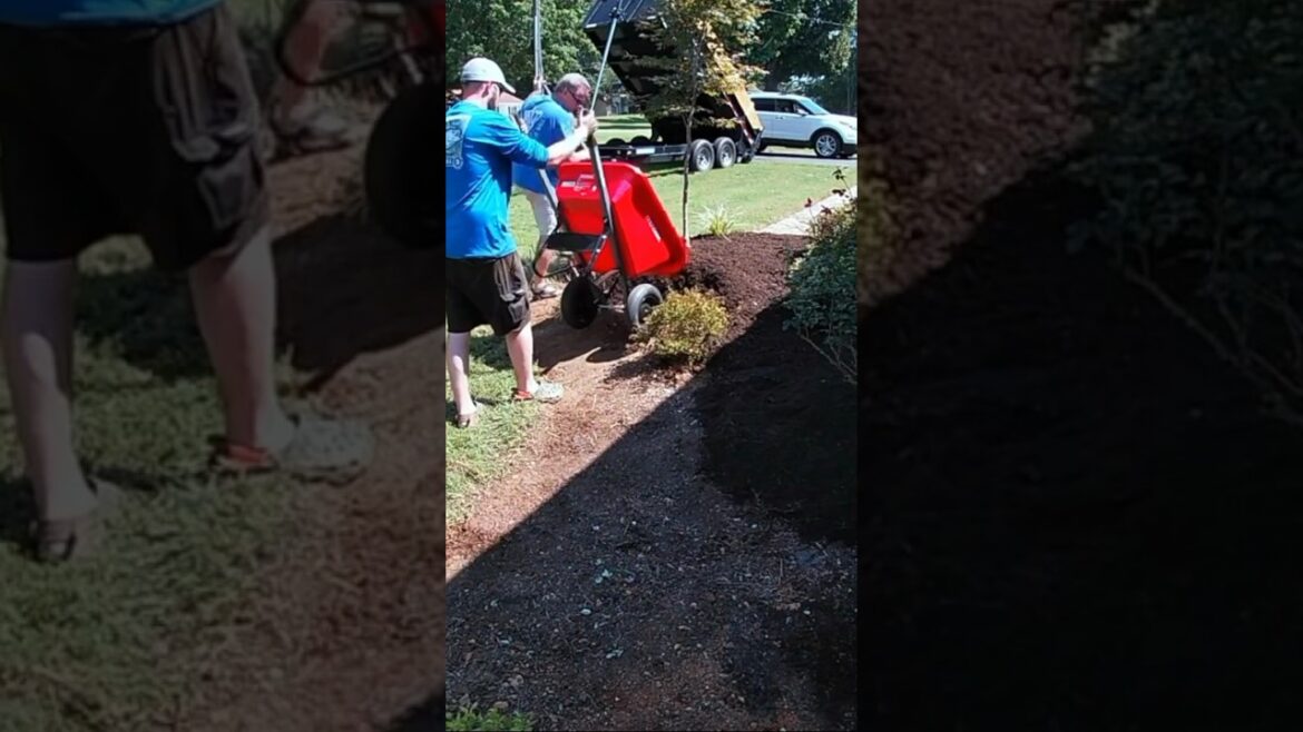 DIY FRONT YARD LANDSCAPES #johndeereequipment #StihlProducts