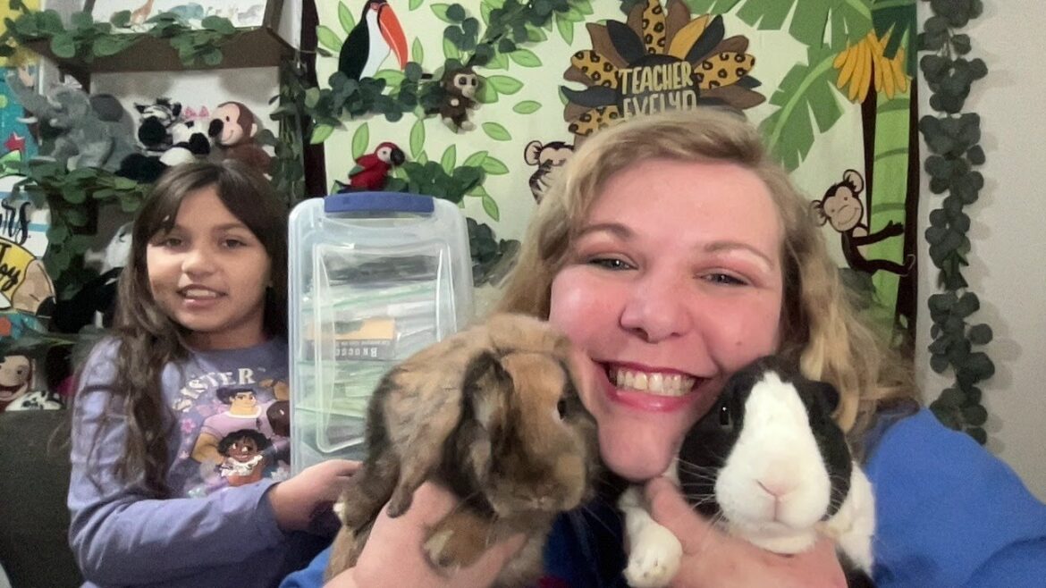 Let’s Talk about Garden Plans with our Pet Rabbits Let's Talk about Garden Plans with our Pet Rabbits