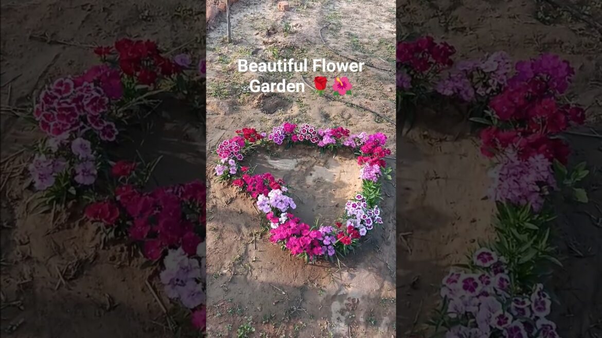 Beautiful Garden||Flower Garden Design||#viral#shorts#garden#design#beautiful