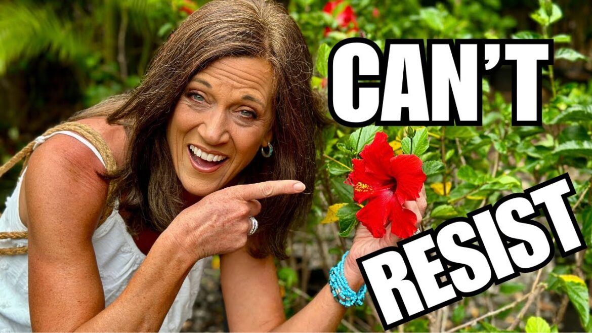 CaliKim: On Vacation, But Can’t Resist… On Vacation, But Can’t Resist...