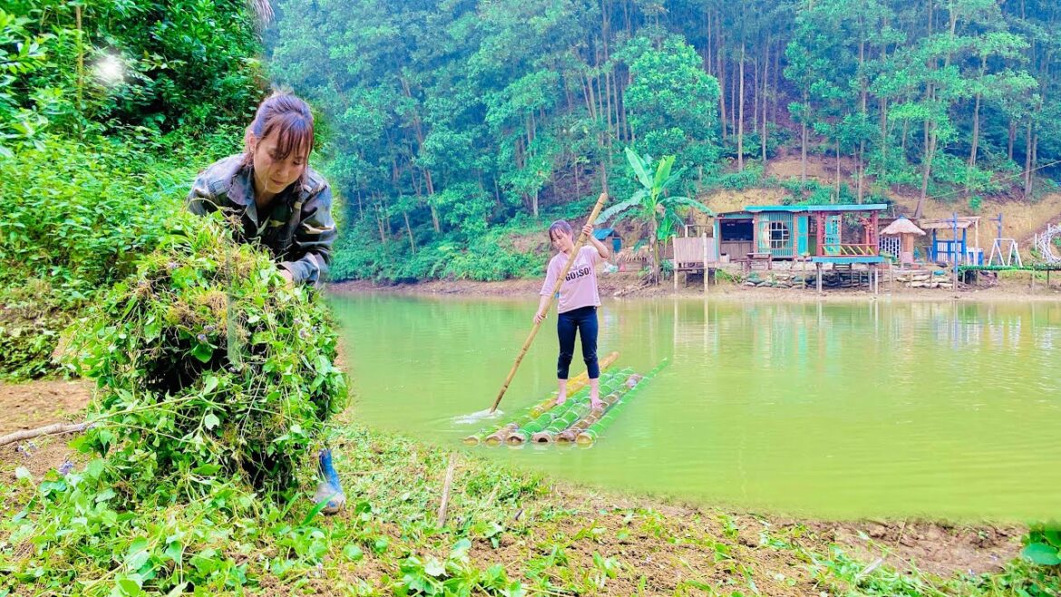Full Video: Expanding, Vegetable Gardening. Build a Wooden House. 1 Year Alone In The Forest Full Video: Expanding, Vegetable Gardening. Build a Wooden House. 1 Year Alone In The Forest