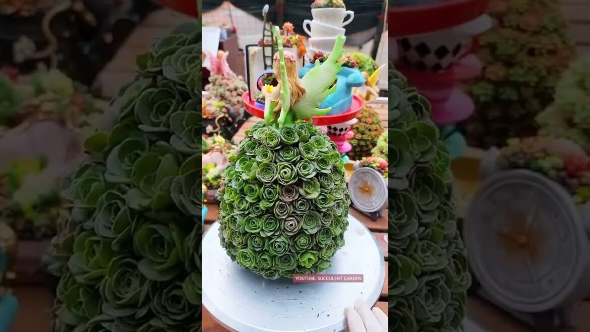 Beautiful succulent tips by Plant Gardener Beautiful succulent tips by Plant Gardener