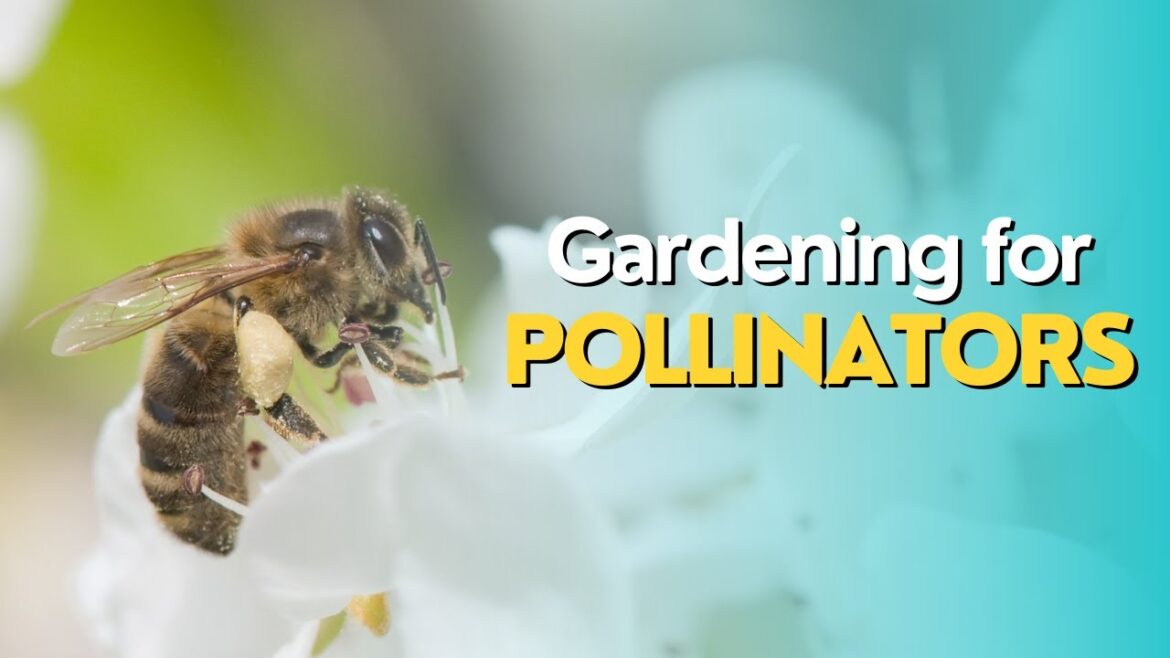 Gardening for Pollinators
