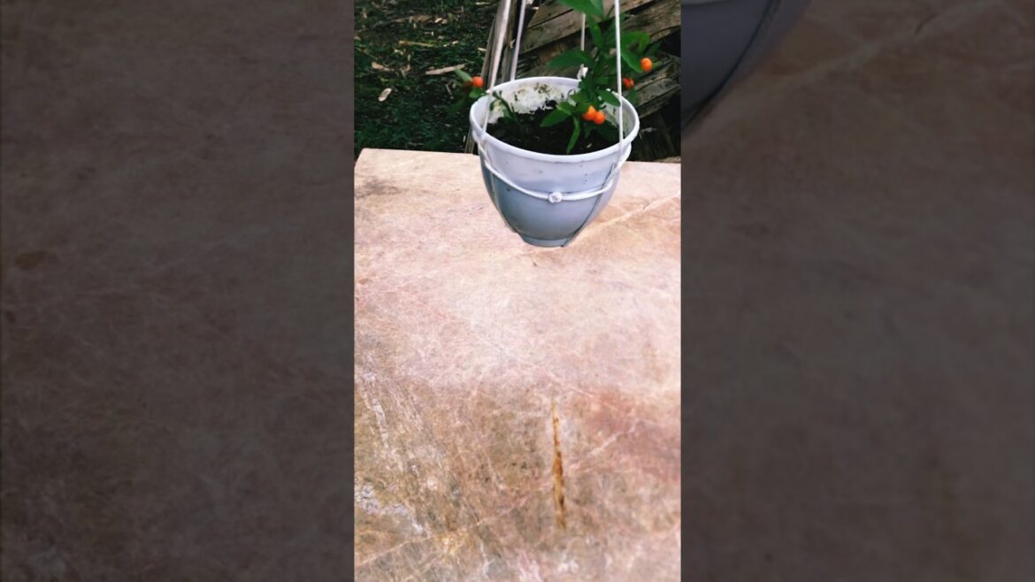 Making a hanging flower pot #garden #gardening #hanging #flower