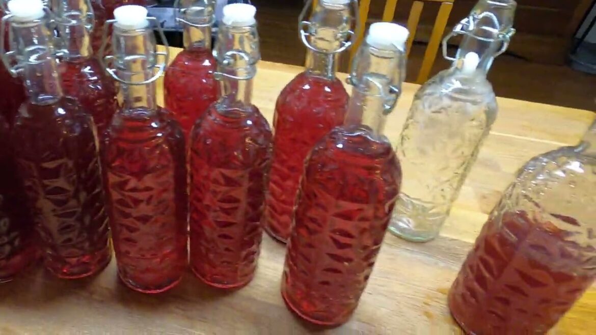 Spring Garden Planning Update. The Wine is ready to bottle. Plans to grow a unique crop this year. Spring Garden Planning Update. The Wine is ready to bottle. Plans to grow a unique crop this year.