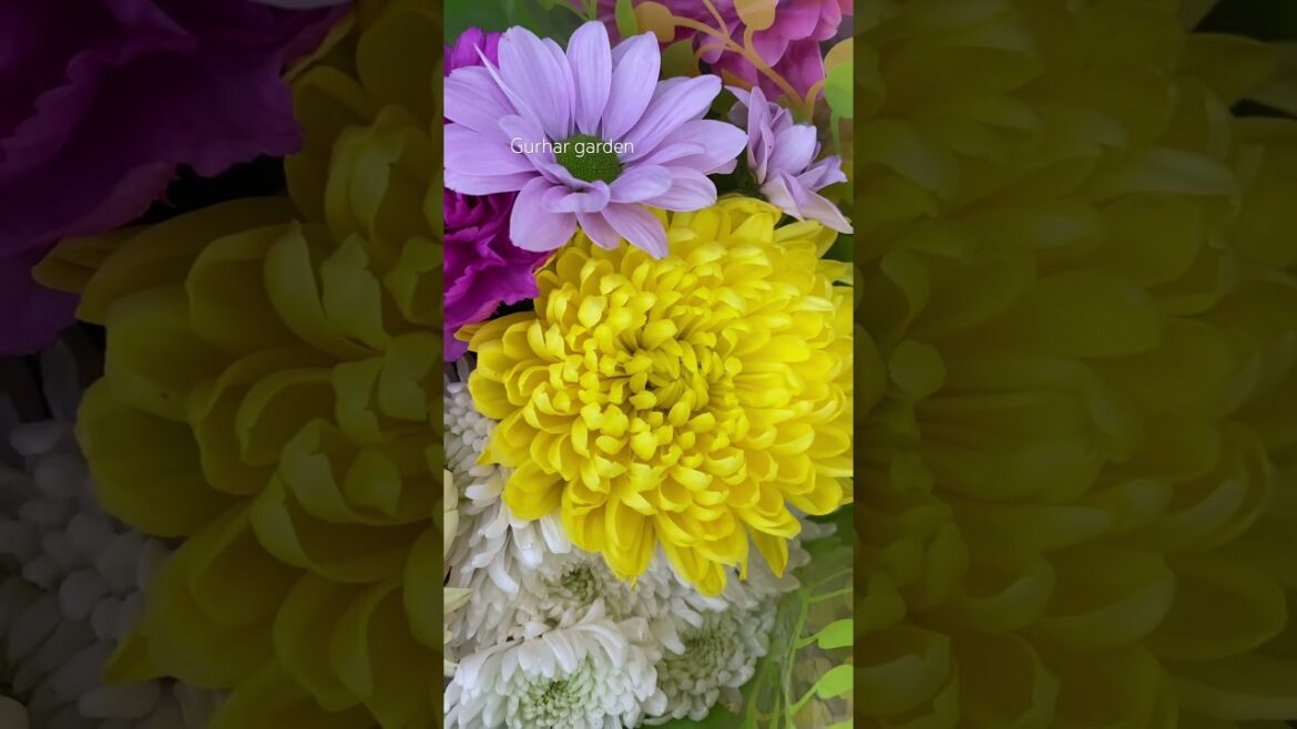 #flowers  #gardening #backyard #garden #flower #gardern #beautiful #rose #gardenflowerplants  #