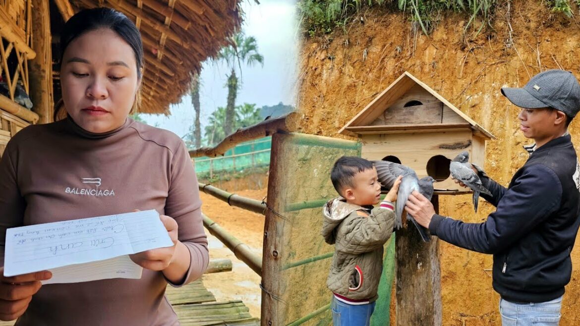 Vegetable gardening and food shopping. The child’s father gave him a flock of bird Vegetable gardening and food shopping. The child's father gave him a flock of bird