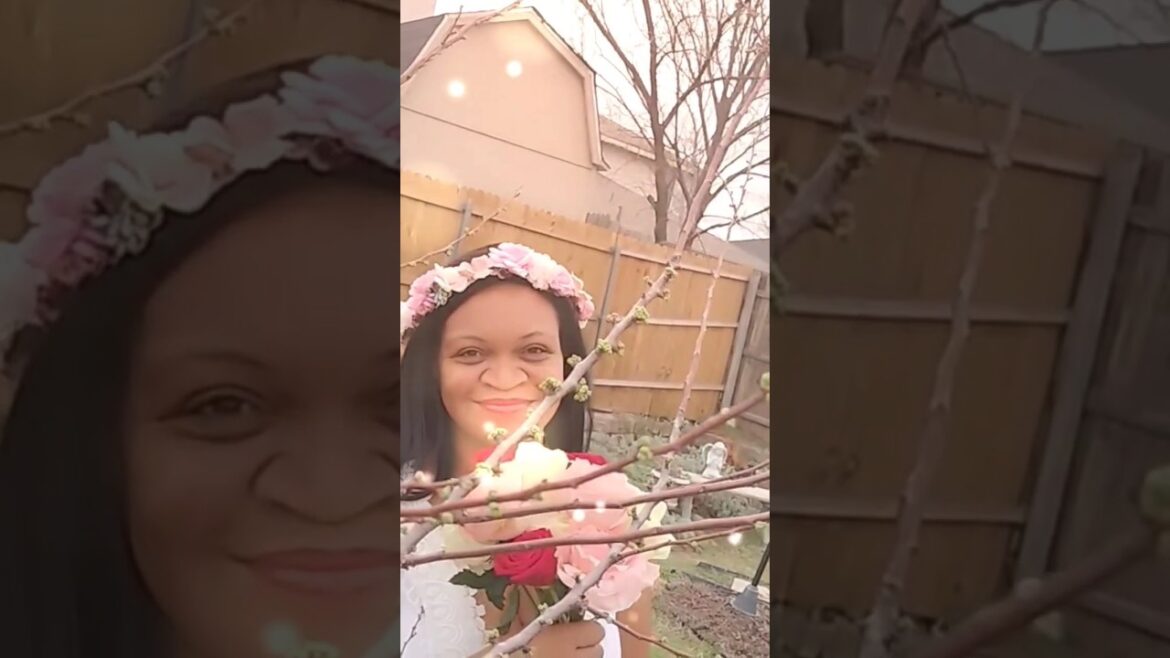 Texas Tropical Garden 😉 Texas Tropical Garden 😉