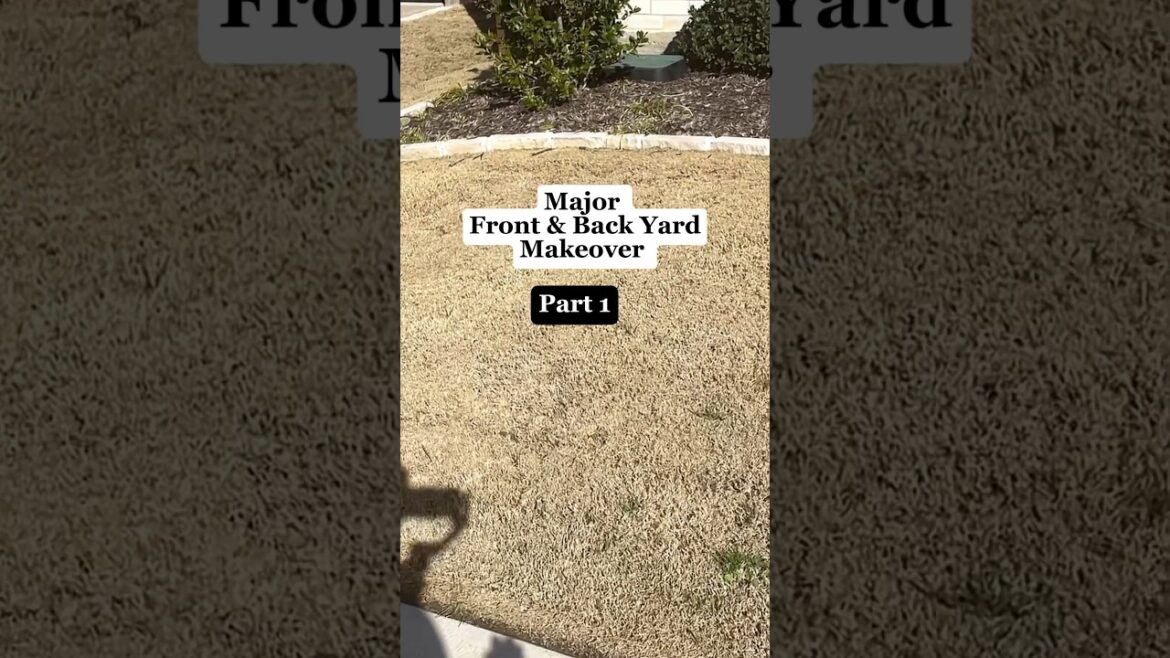 Front Yard turned out beautiful! #frontyard #backyardmakeover #landscapedesign #shorts #shortsfeed