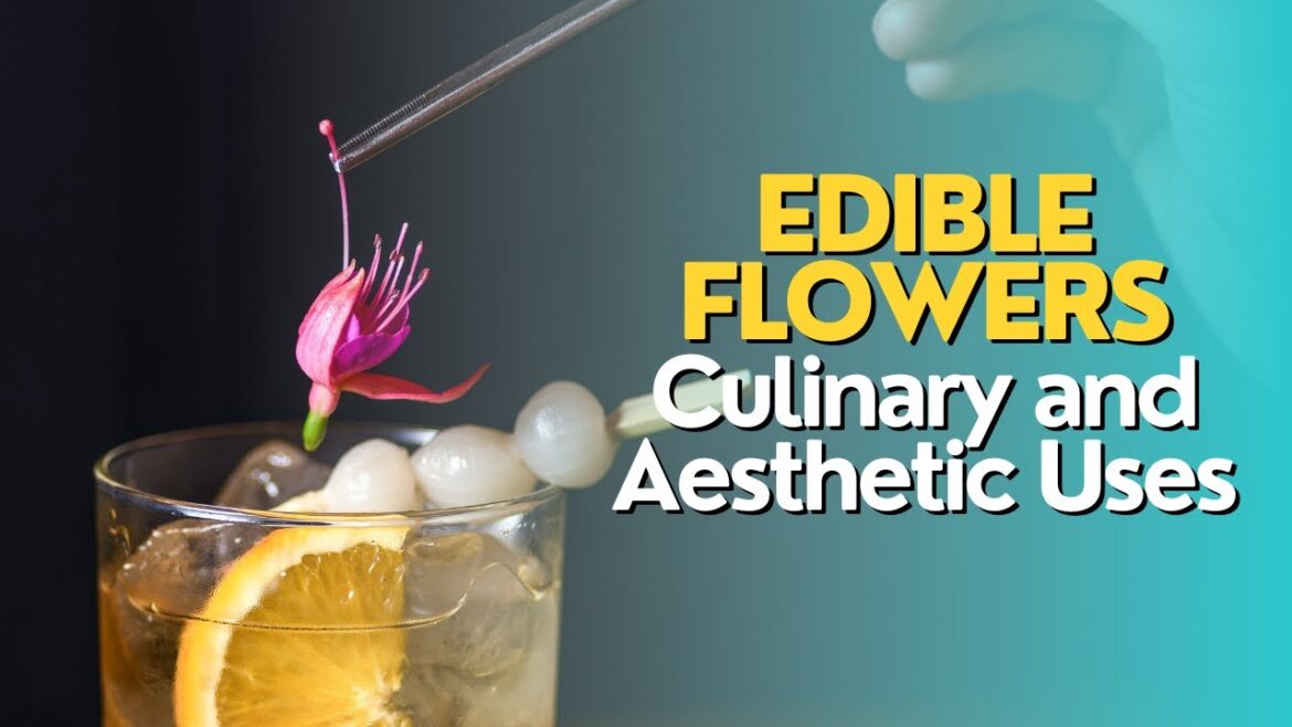 Edible Flowers: Culinary and Aesthetic Uses