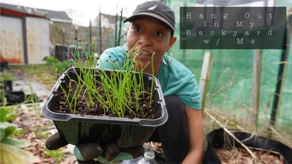 Urban Homesteading | Chicken Banter | Planting Onions & Pulling Broccoli | O The Weeds (Fam & Me) Urban Homesteading | Chicken Banter | Planting Onions & Pulling Broccoli | O The Weeds (Fam & Me)