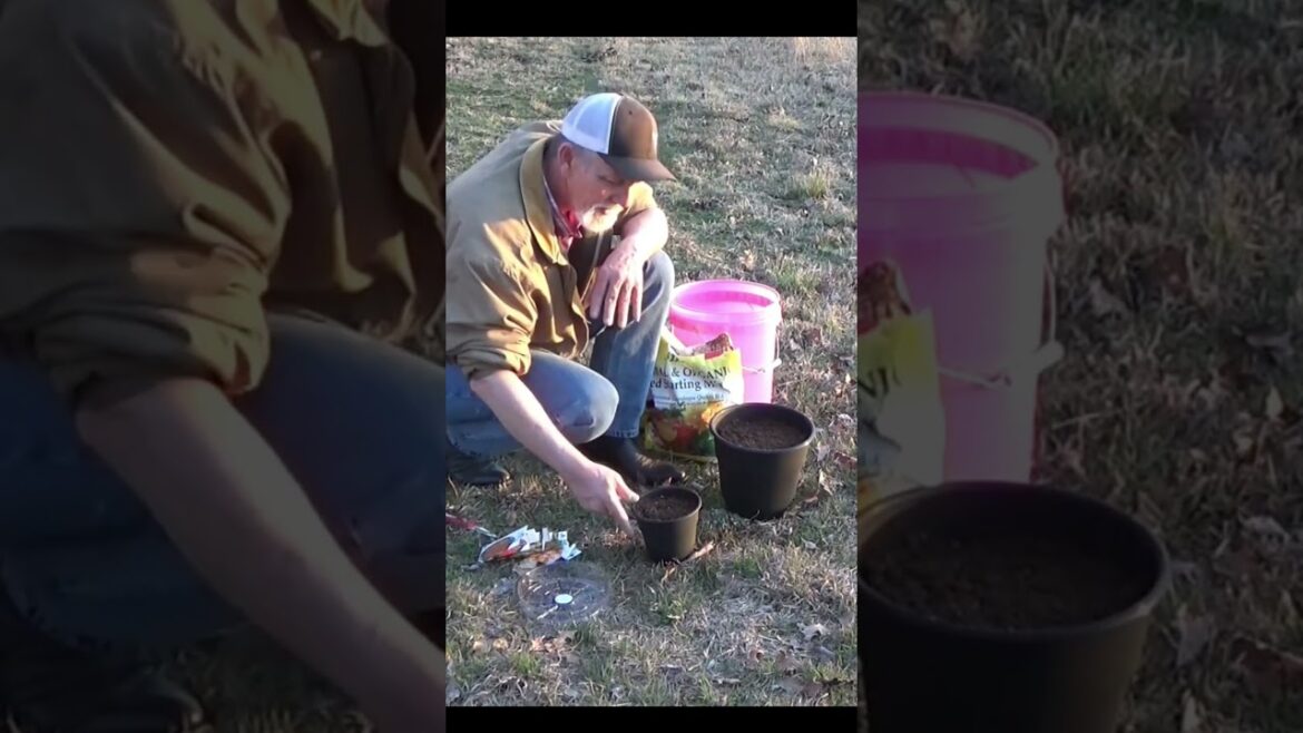 Fun with container gardening