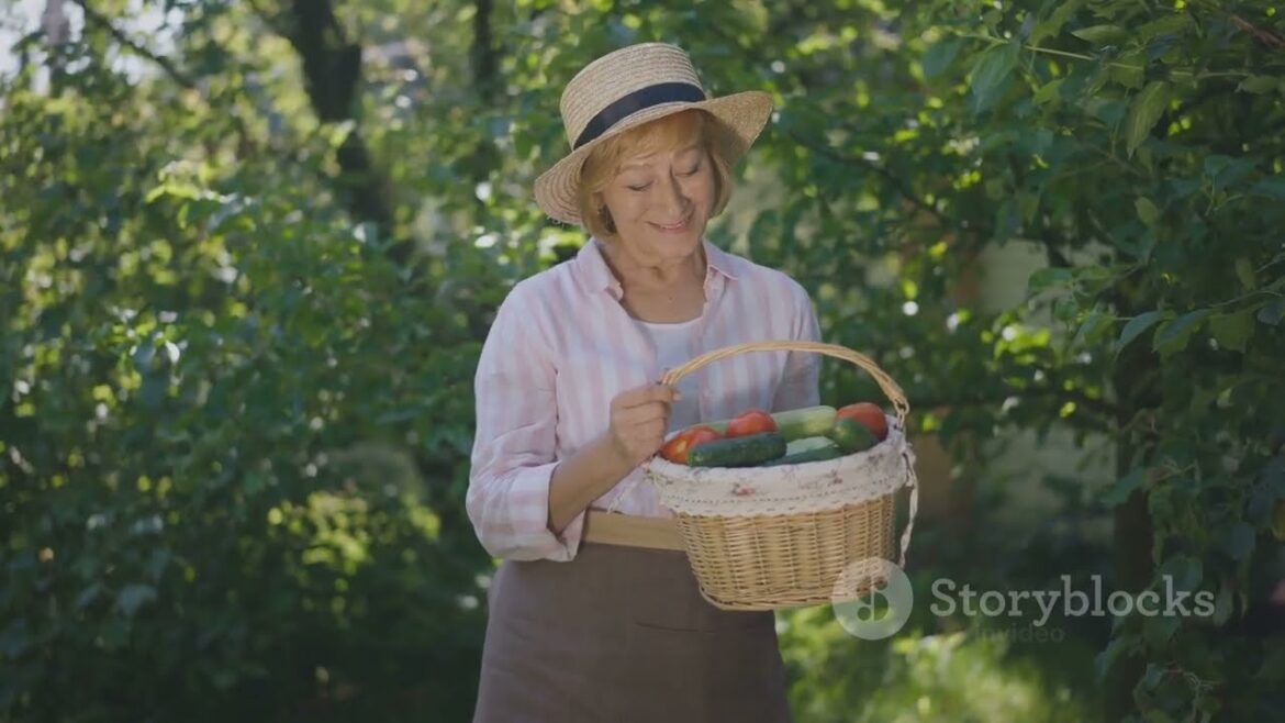 Your Beginner’s Guide to Vegetable Gardening Your Beginner's Guide to Vegetable Gardening