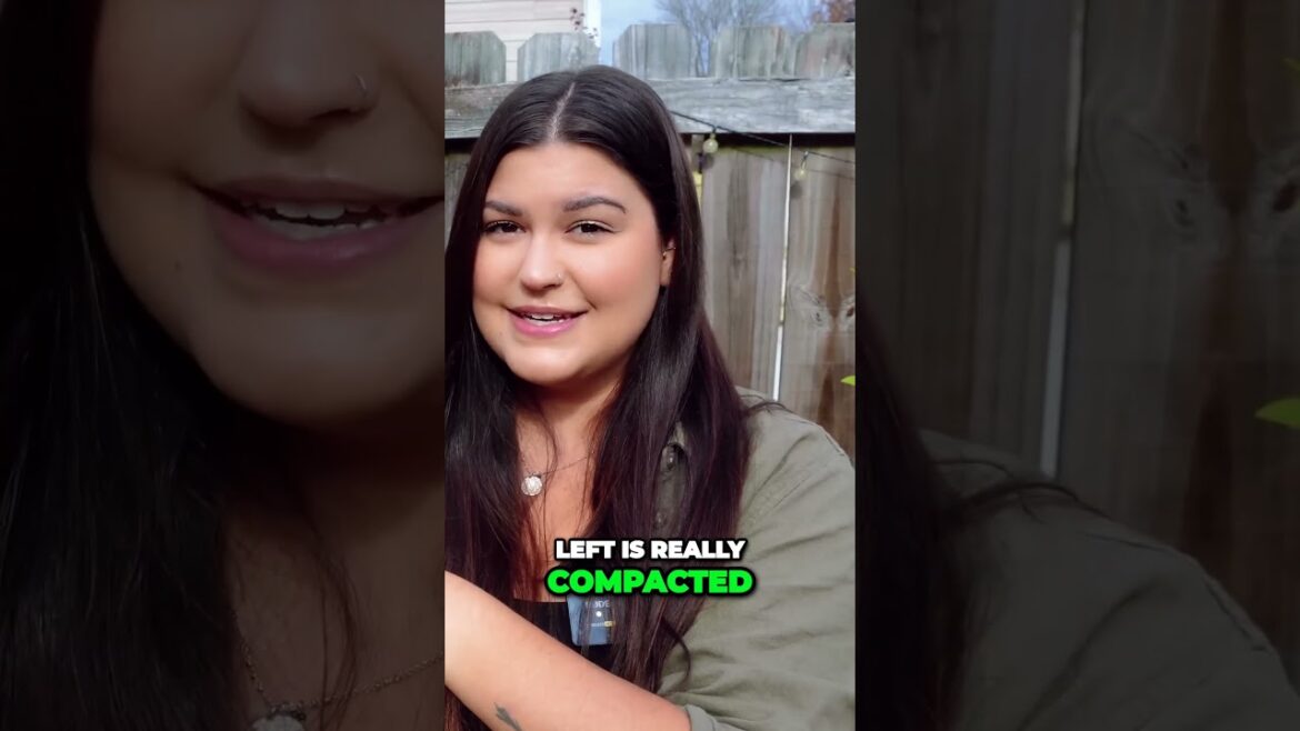 Prevent Your Blueberry Plants from Dying with the Right Container! #garden Prevent Your Blueberry Plants from Dying with the Right Container! #garden