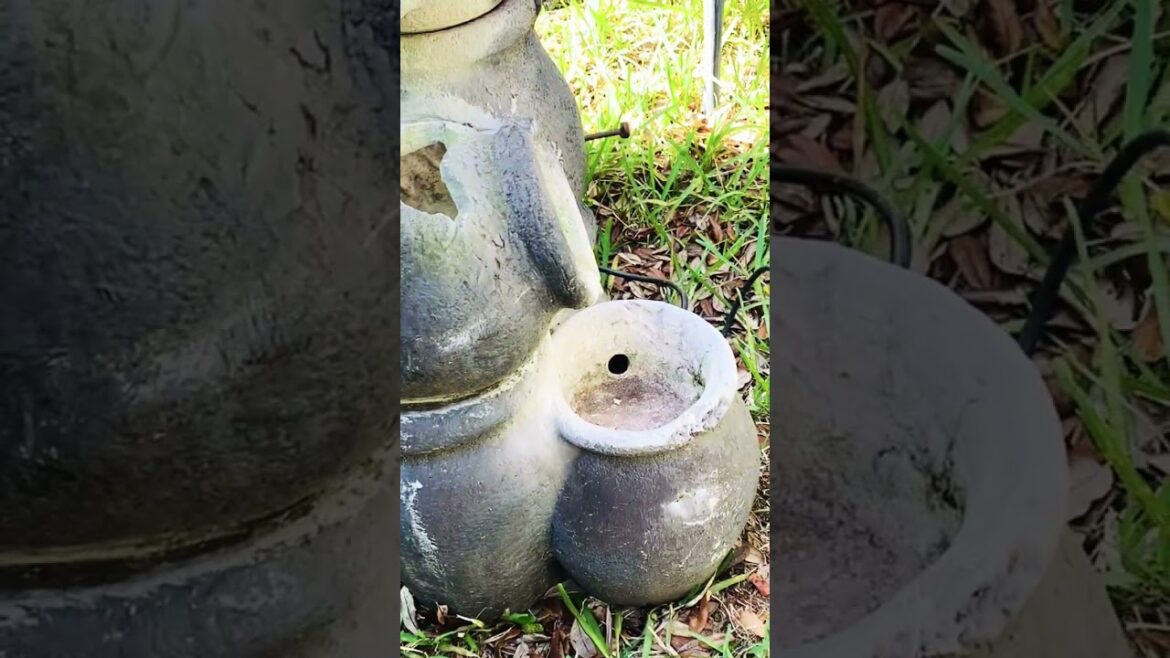 A beautiful fountain in the garden ￼#fountain #gardening #flowers#roses