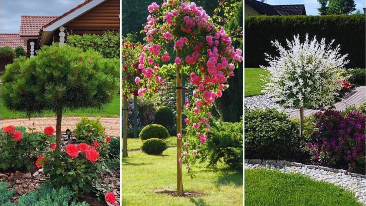 Mastering Garden Design 🌸 Transforming Spaces with Espalier Plants and Topiary Sculptures