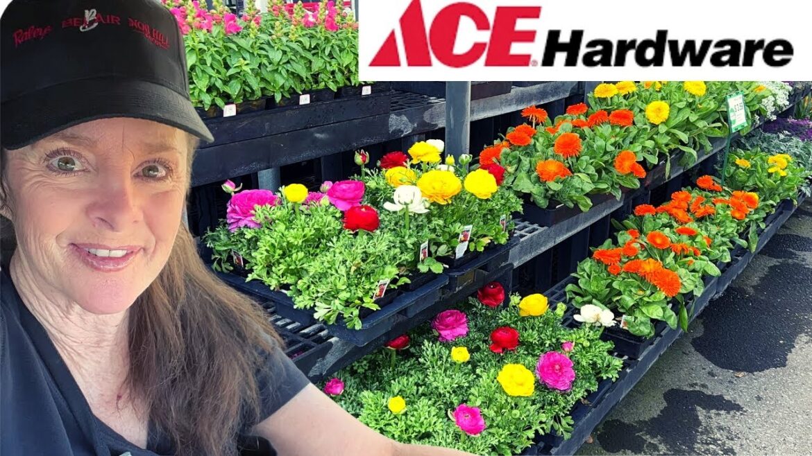 Plant Shopping - New Spring Flowers Just Arrived!!!