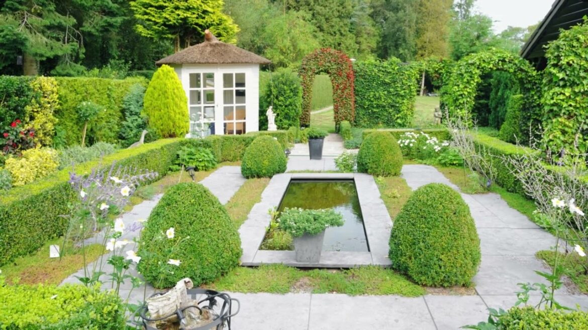 Backyard Garden Idea  Part 1