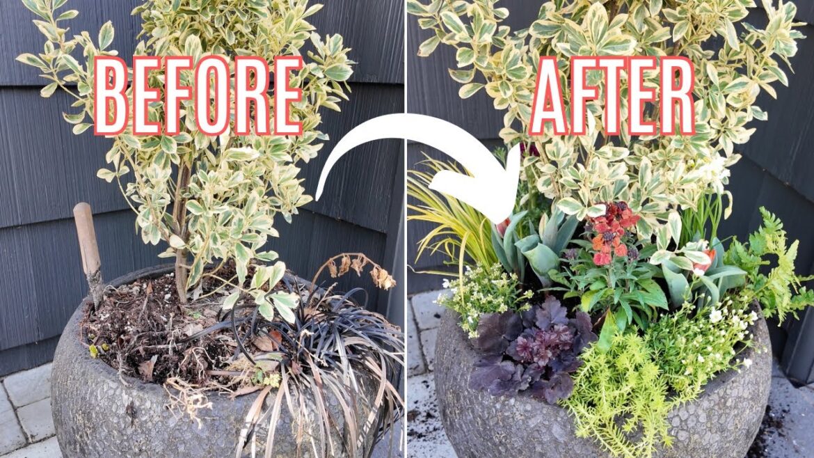 Spring Porch Refresh | Container Planting at Home 🌸