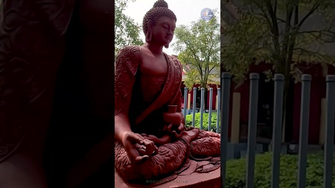 Japanese Garden in Kolkata Eco Park | Japanese Forest #love #shorts #reels #video #kolkata